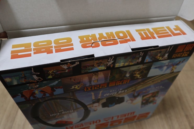  닌텐도 링피트어드벤처 후기! 홈트도 재미있게!
