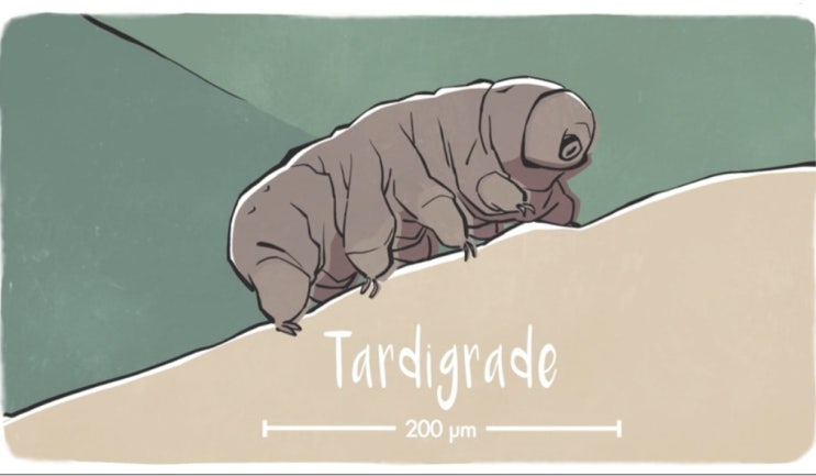 TED-Ed 속독] 4주차 2: Meet the Tardigrade, the Toughest Animal on Earth