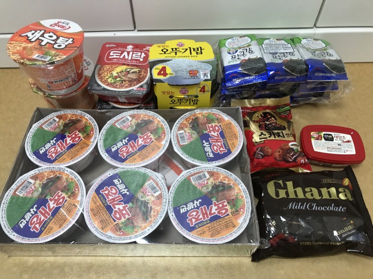  [매일 일기 쓰기] #64 싱가포르 입국 D-1 재입국 준비하기, 입국 허가(Entry Permit), 자가격리 준비, 마스크, 비상식량