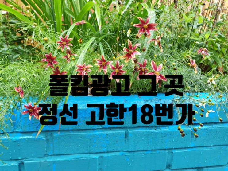  폴킴광고 그 곳 고한 마을호텔 18번가 어때요 (긴 글 주의!)