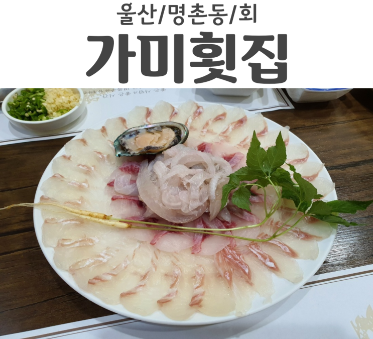  다시 가고싶은 울산/명촌동 가미횟집 양 진짜 많음