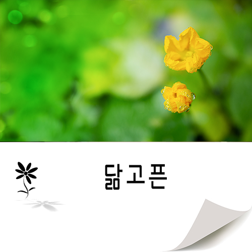 닮고픈 마음