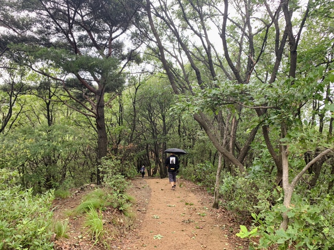  일상 | 비와도 청계산