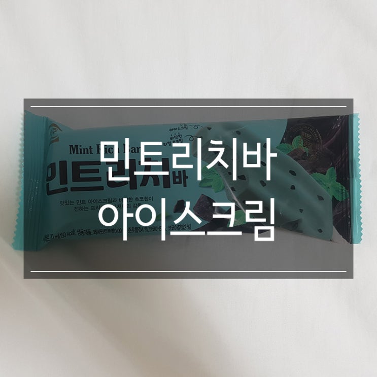 민초단을 위한 아이스크림 <민트리치바 아이스크림> 민트초코 너무 좋아 민초단을 위한 아이스크림 <민트리치바 아이스크림> 민트초코 너무 좋아
