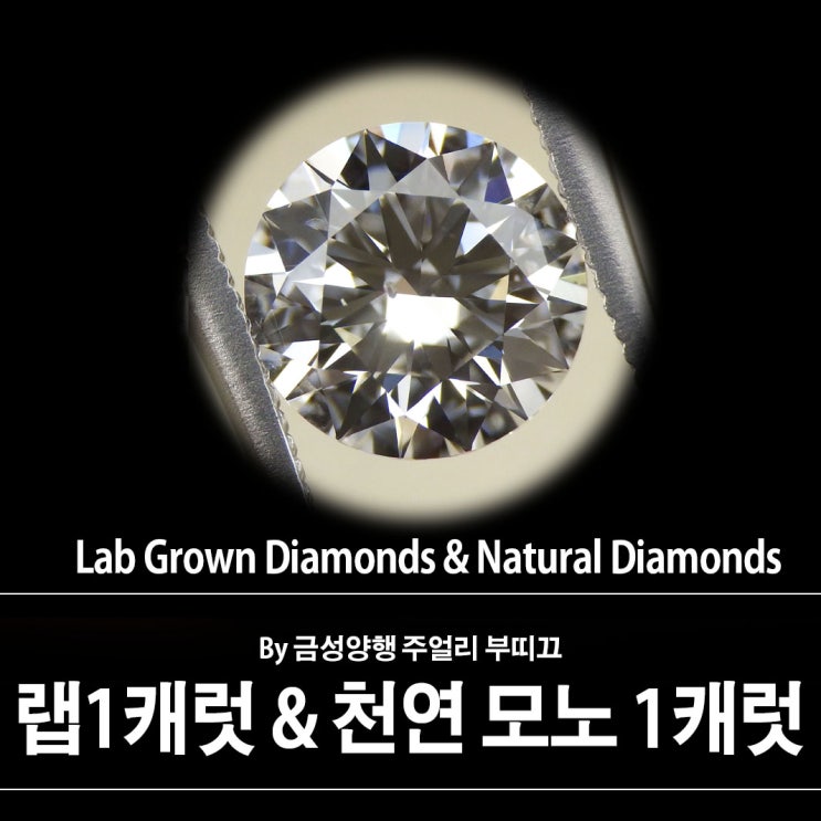 [Lab & Natural] 1캐럿 양식 랩그로운다이아몬드 & 1캐럿 천연 모노 다이아몬드 나석