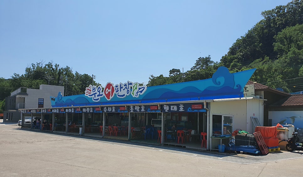 현대호 사진 2