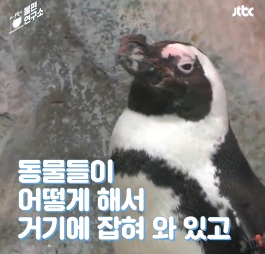  ㅠ̑̈