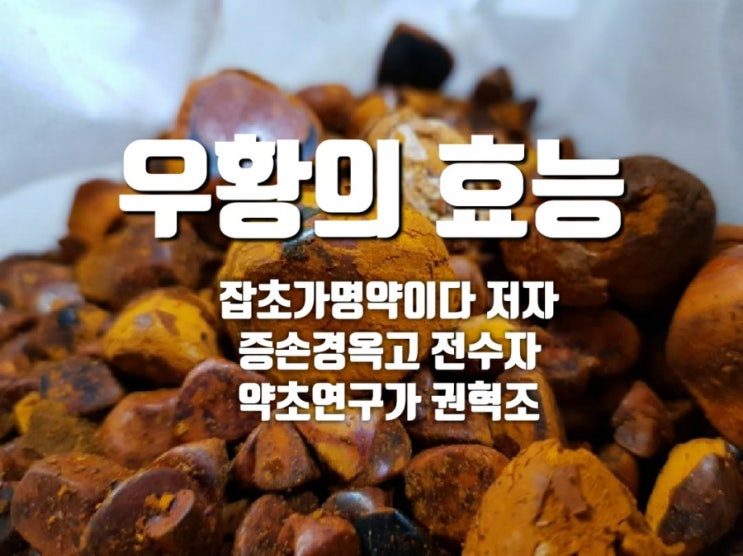  우황의 효능