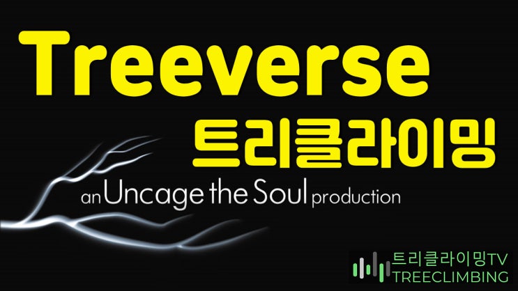 트리클라이밍하는 이유 Treeverse 트리버스