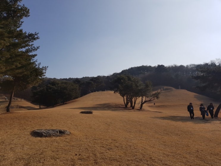  200112 용인