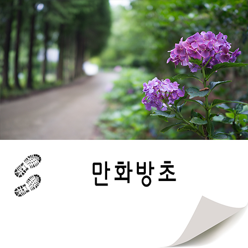 만 가지 꽃이 피어나는 만화방초 -경남여행