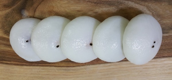 쑤기잔기지 사진 2