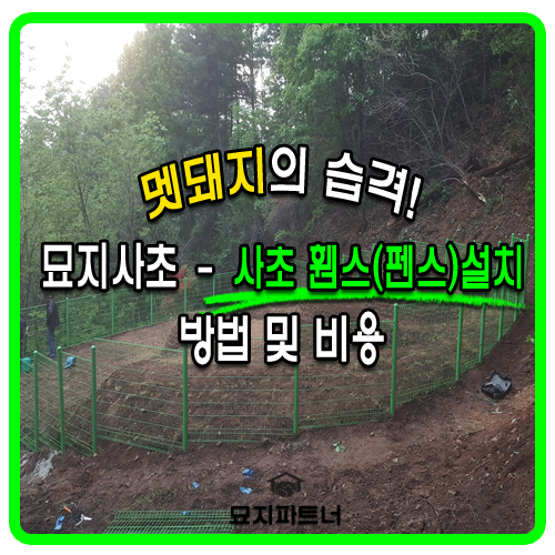  멧돼지의 습격으로 훼손된 산소에 묘지봉분사초와 휀스(펜스)작업
