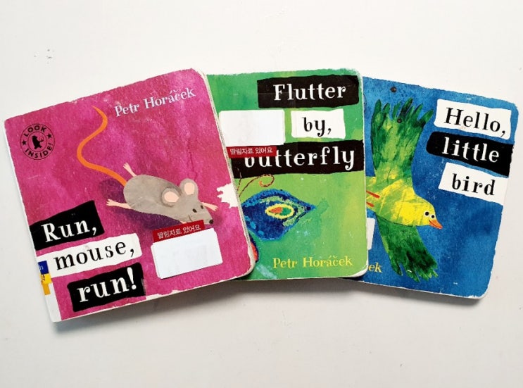  Hello, little bird | Run, mouse run! | Flutter by, butterfly | 픽토리 IT | 영어 그림책