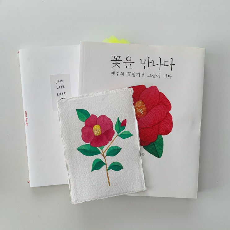 그림그리기) -겨울- 꽃(취미미술/꽃그림/색연필/프로크리에이트)