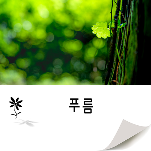  필요한건