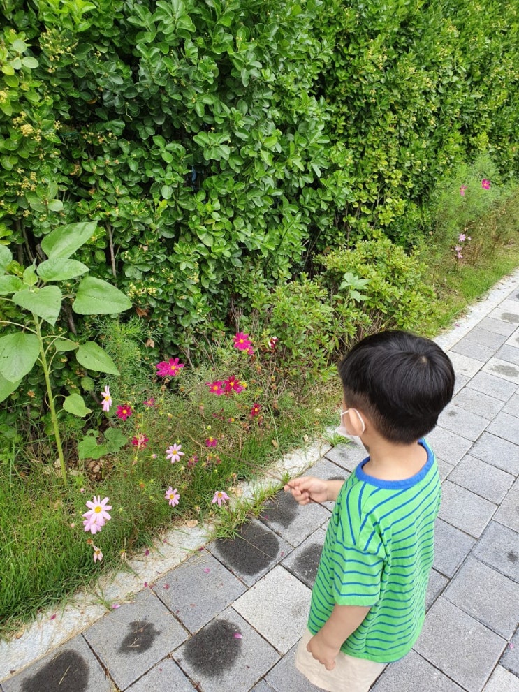  남들과 다르게, 나만의 육아 기준 3가지