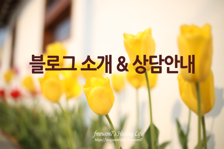  프리원 블로그 소개 & 상담안내