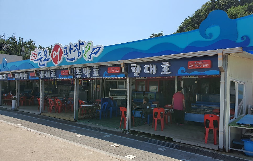 현대호 사진 3