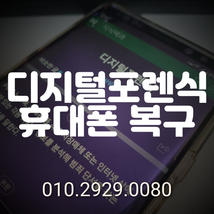  서울 카톡 복구/ 디지털 포렌식 복원 전문/ 카카오톡 삭제된 대화내용 사진 동영상 음성녹음파일 비밀번호 해제