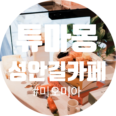  [청주카페] 성안길 신상카페 튜마몽(구 스위트피)