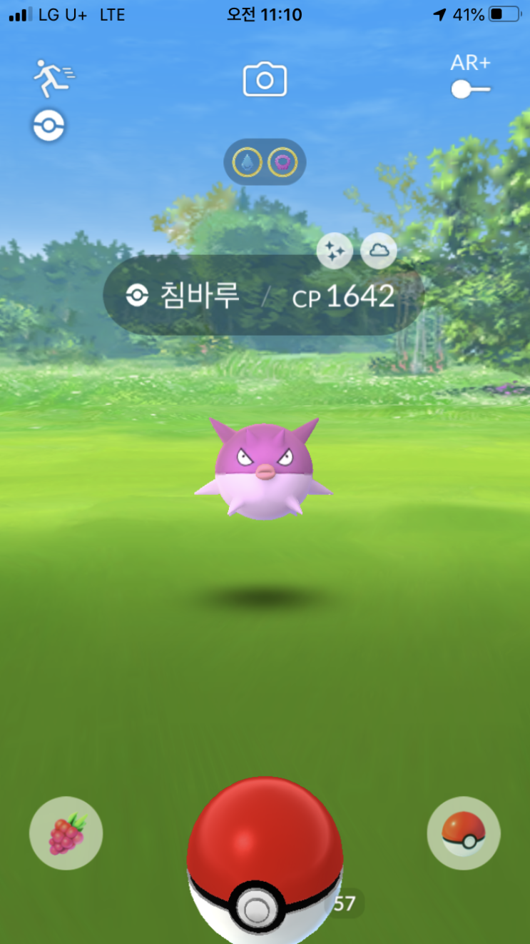 침바루 이로치