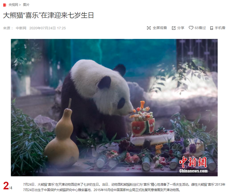 "7번째 생일을 맞은 자이언트 판다 '기쁨이'" CCTV HSK 생활 중국어 신문 기사 뉴스 공부