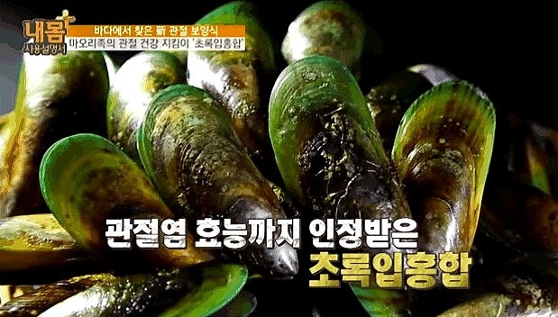 관절에 좋은식품 초록잎홍합 효능 관절 초록잎오일 성분 부작용