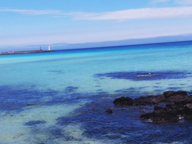  제주도 한달살기 세화해변. 떠나고 싶지 않은 에메랄드빛 해변