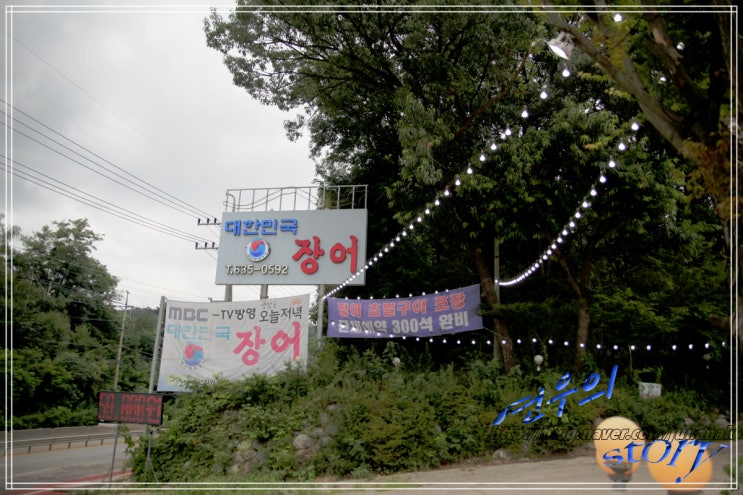  캠핑 느낌 야외테라스의 이천시 맛집 이천 대한민국 장어