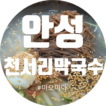  [안성맛집] 시원한 막국수로 더위를 날리기! 안성천서리막국수