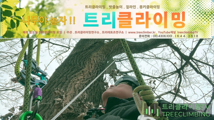  트리클라이밍 모임은 매주 일요일