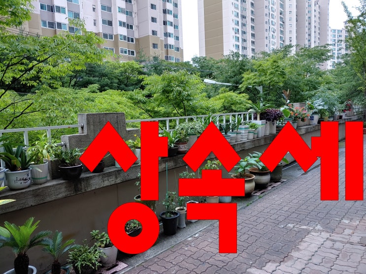  상속세, 세율, 과세대상, 상속세납부기한, 상속세계산,가산세
