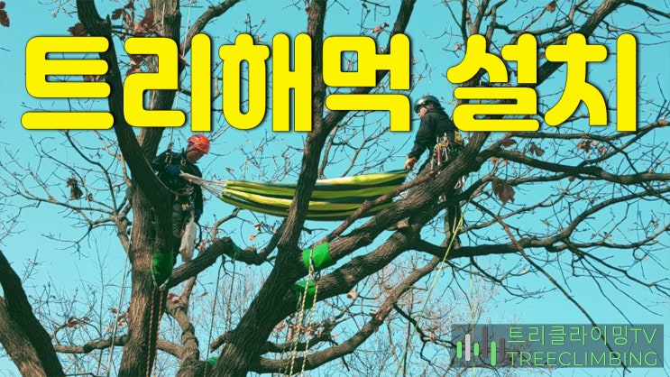  나무위에 텐트를!! 아니 트리해먹치기