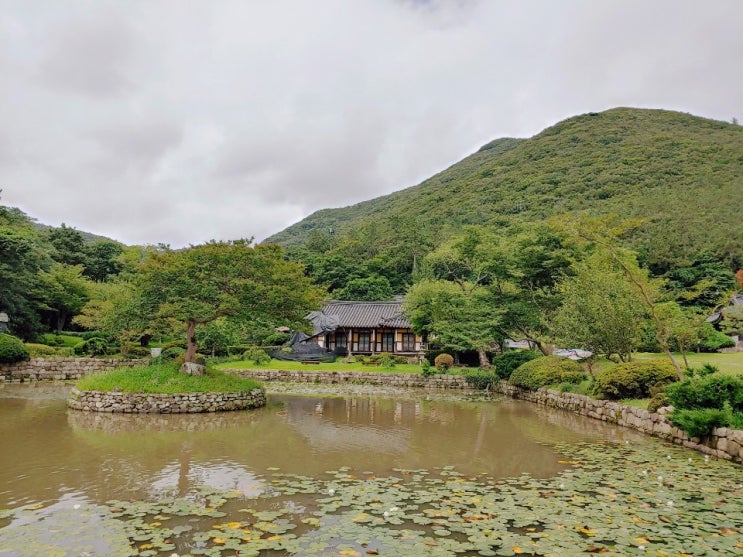 진도 가볼만한 곳 운림산방에 갔지만...