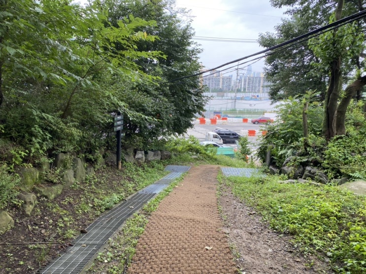  대모산 산행길
