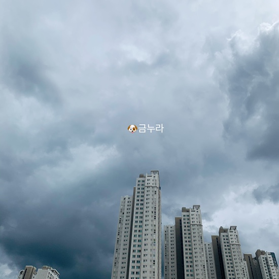  일상 | 보통의 일상이 가장 소중한 것