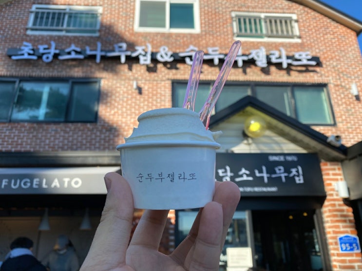  [강릉맛집] 초당소나무,돌체테리아,키크러스..