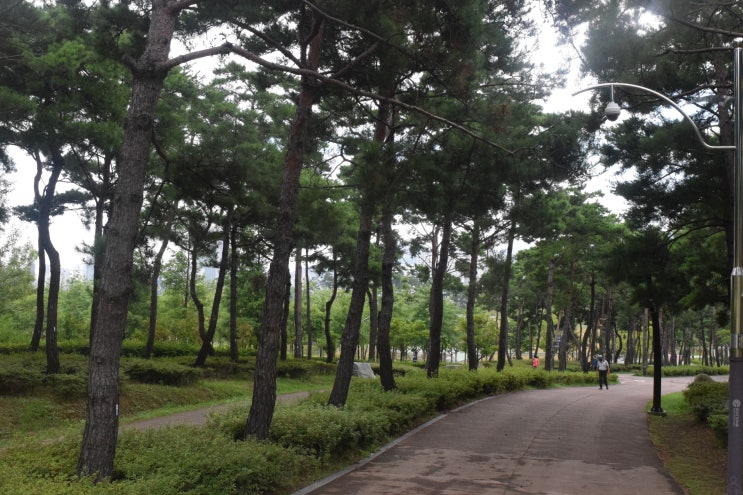  시민공원 산책하기