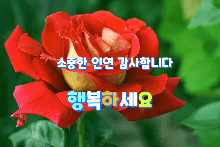 귀한 인연이길~ 귀한 인연이길~