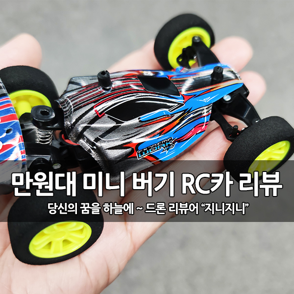 초저렴 만 원대 스피드 미니 RC카 초저렴 만 원대 스피드 미니 RC카