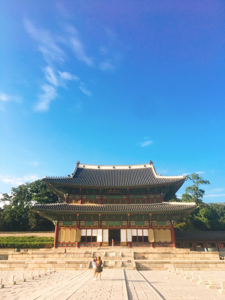  관광가이드 자격증에는 무엇이 있을까? 국외여행 인솔자. 관광 통역안내사. 국내여행안내사