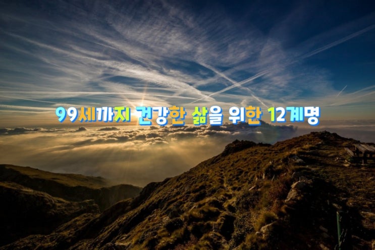 99세까지 건강한 삶을 위한 12계명 99세까지 건강한 삶을 위한 12계명