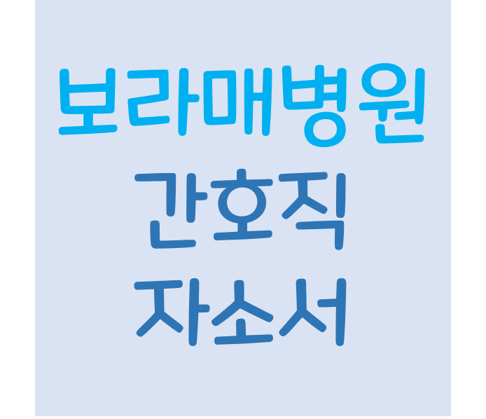 [간호사 자소서] 2021년 서울보라매병원 신규 간호사 자기소개서 작성요령/서울특별시보라매병원