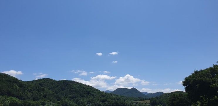  [캠핑이야기]대구근교캠핑장  청도하류보유원지캠핑장 6차 산책하기좋은곳 <하류보유원지 무료캠핑장2탄!>2020.07.17~2020.07.20