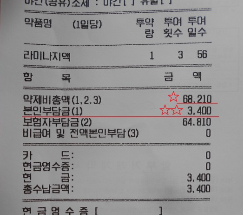 라미나지 액(20M L) :효능/ 복용법 /발암물질 /가격 /부작용 /성분 /임산부 : 네이버 블로그
