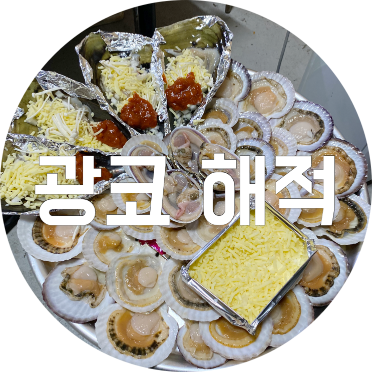  대구 광코 술집 추천 광장코아 해적