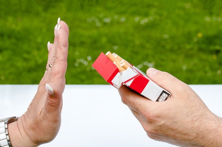 20대는 왜 금연을 할까? 흡연 n년 차 대학생(20대)의 금연 1년 차 후기(일기)