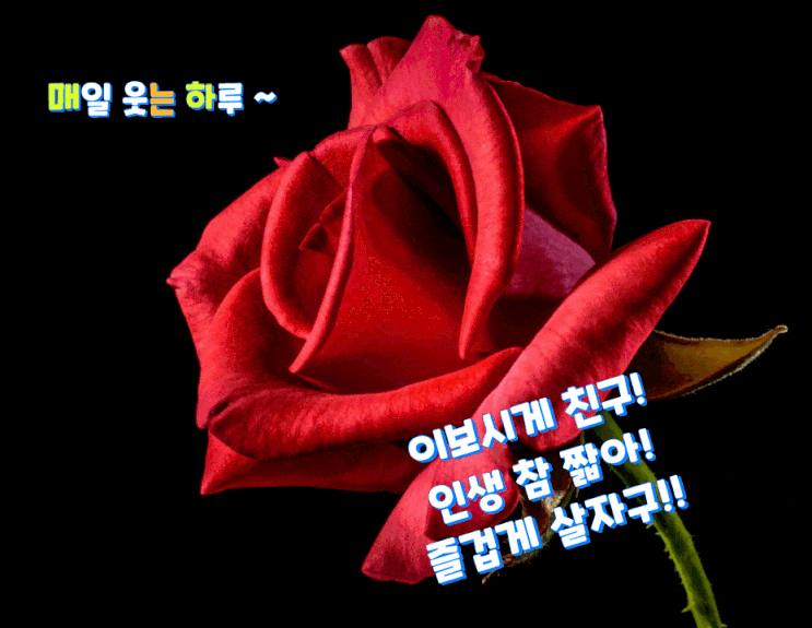  이보게 친구!
