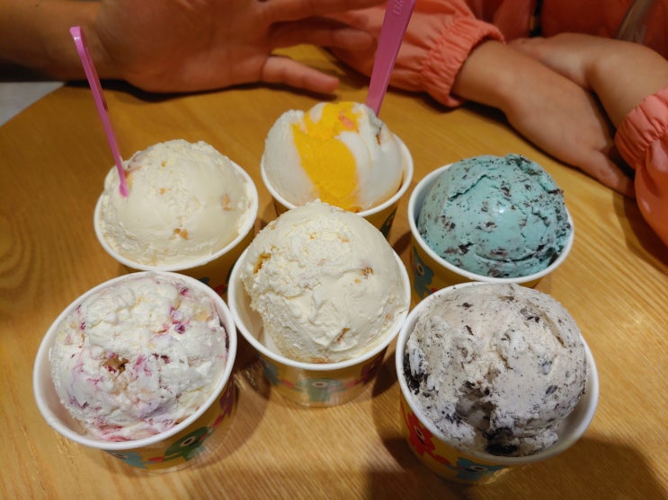 배스킨라빈스 부평 삼산 미래타운점 - 버라이어티팩 아이스크림 가격 및 6가지 맛 후기